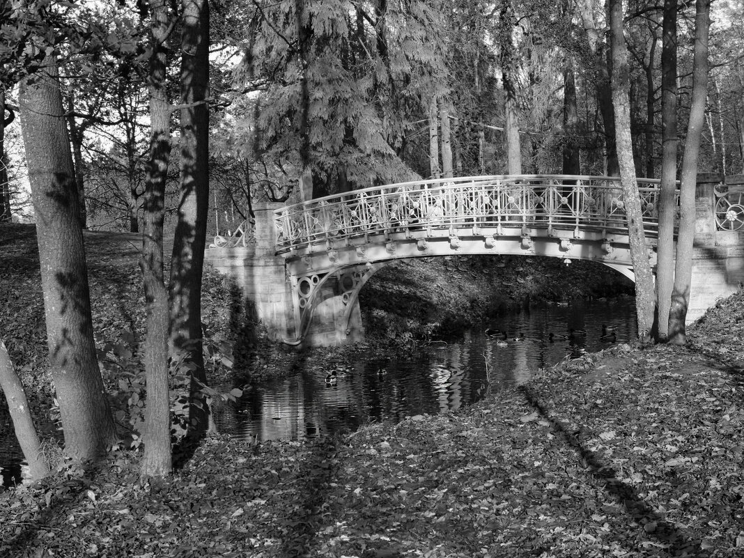 Гатчинский парк - Наталья 