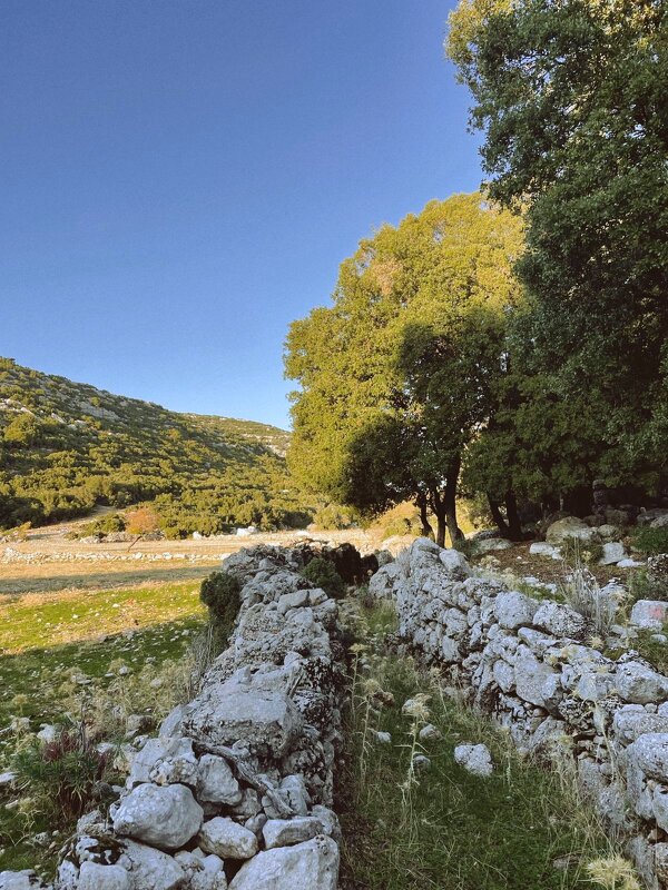 Каменные останки древностей - Георгиевич 