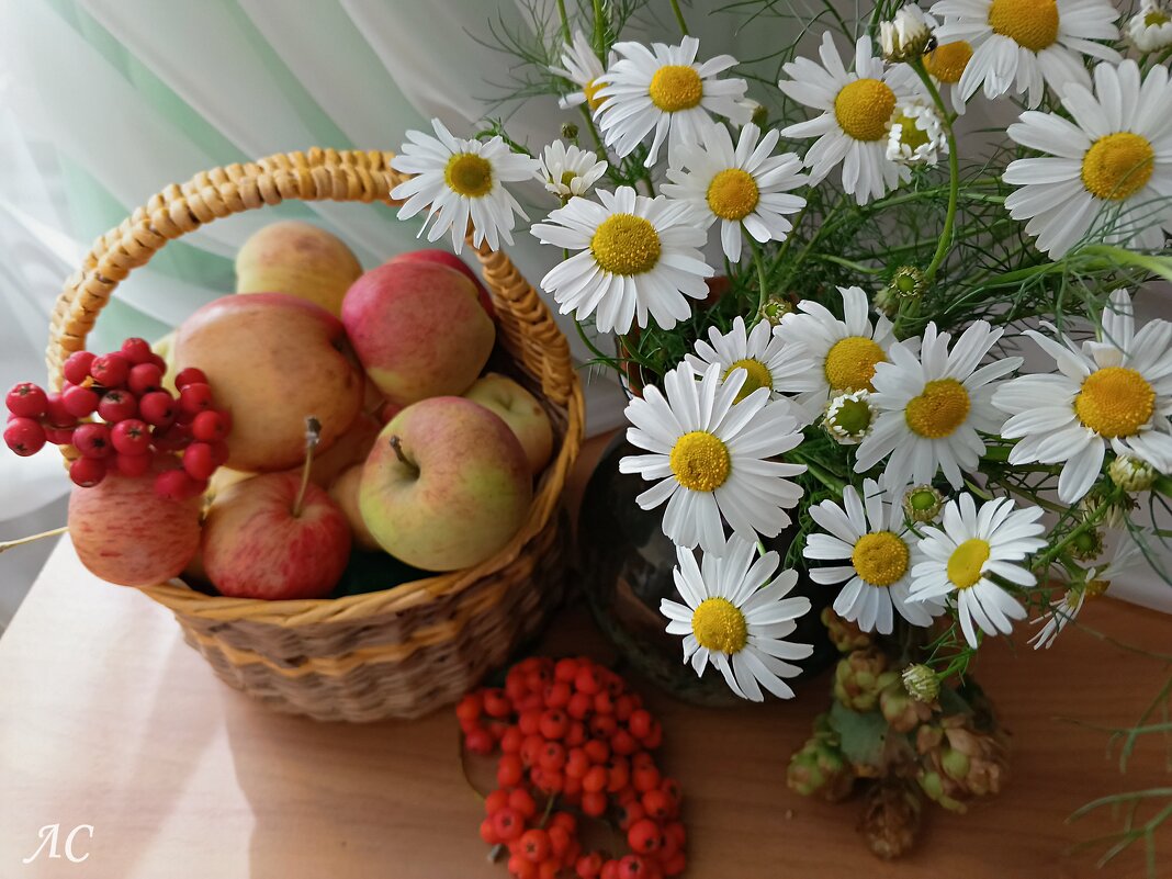 *** - Любовь Сахарова