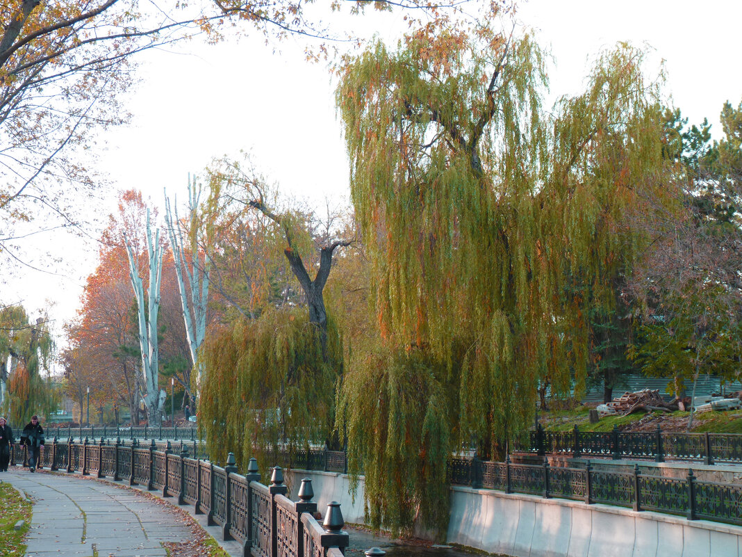 Природа  Крыма - Валентин Семчишин