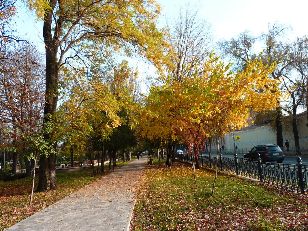 Осень золотая - Валентин Семчишин