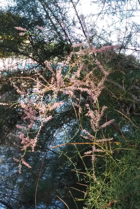 У моря - Натали 