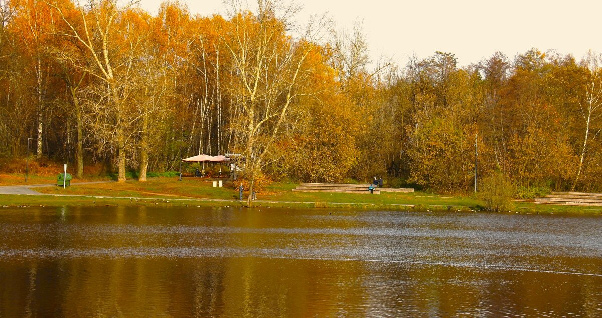 КРАСОЧНАЯ ОСЕНЬ У ПРУДА - Валентина 