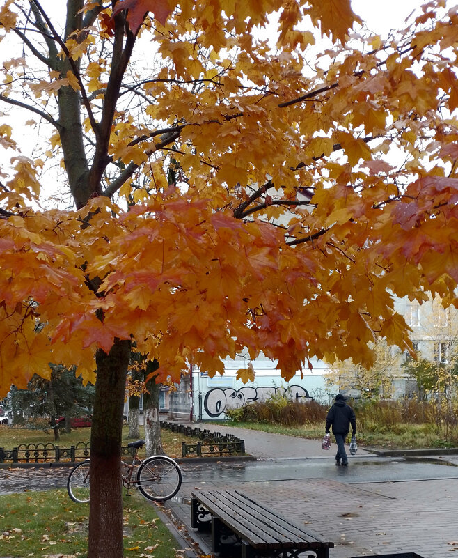 *** - Валентина Береснева