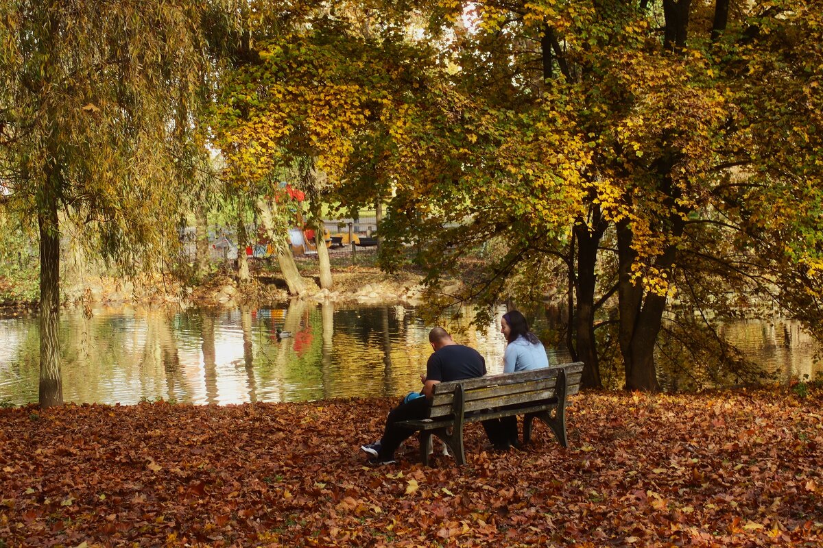 Осенние посиделки - Юрий. Шмаков