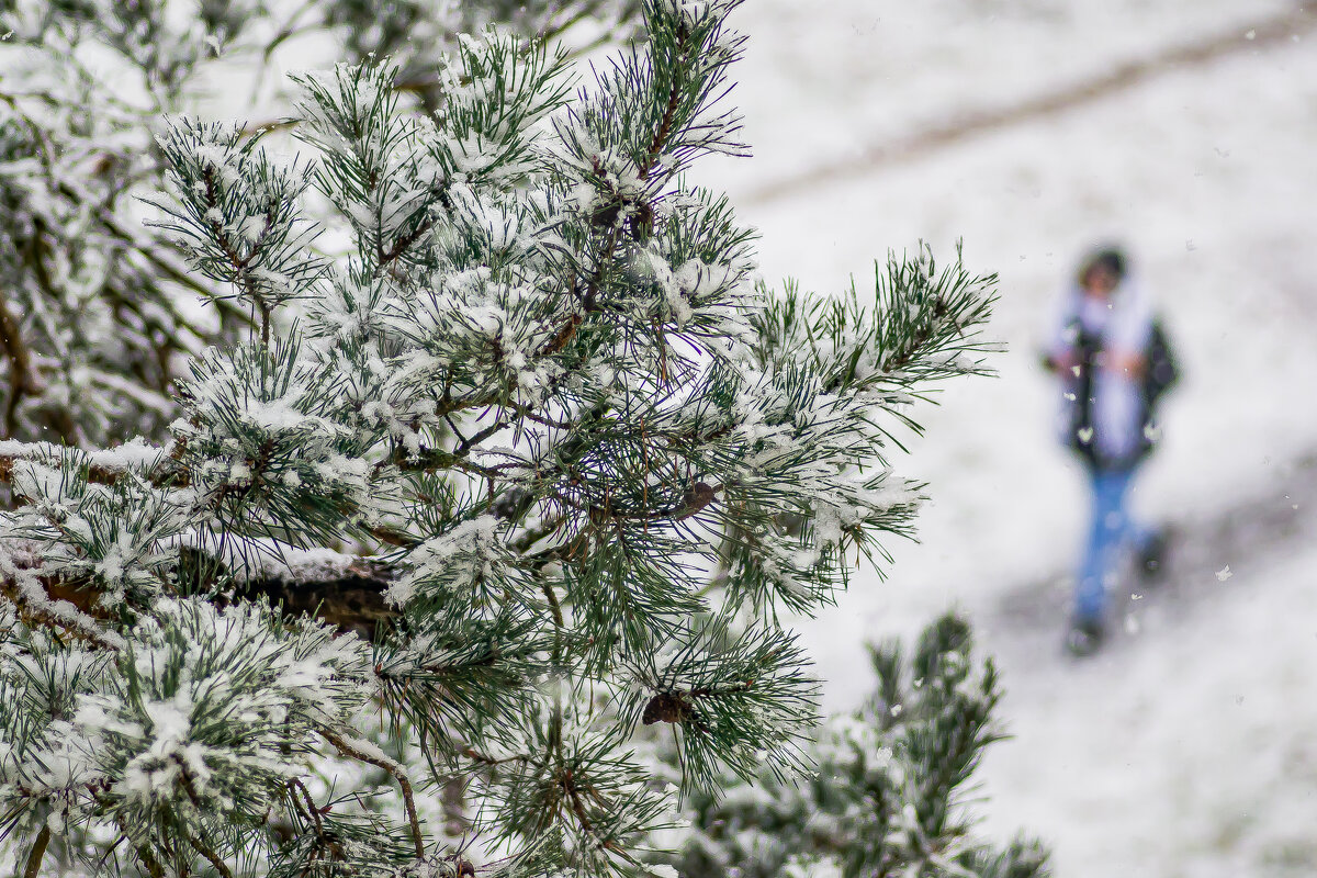А снег идет.... - Sergey (Apg)