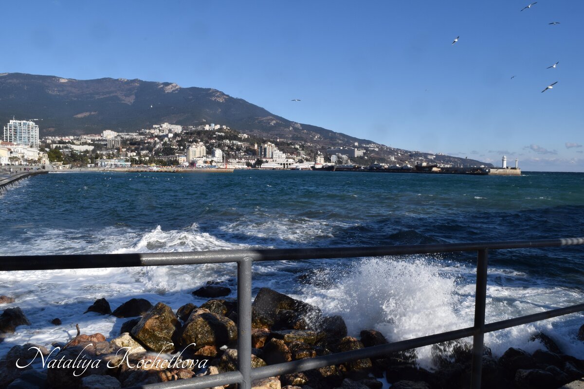 Природа Крыма - Amazing Cosmea