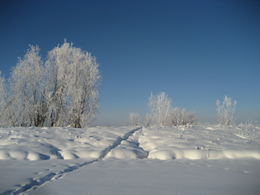 Зима - Anna Ivanova Зима - Anna Ivanova