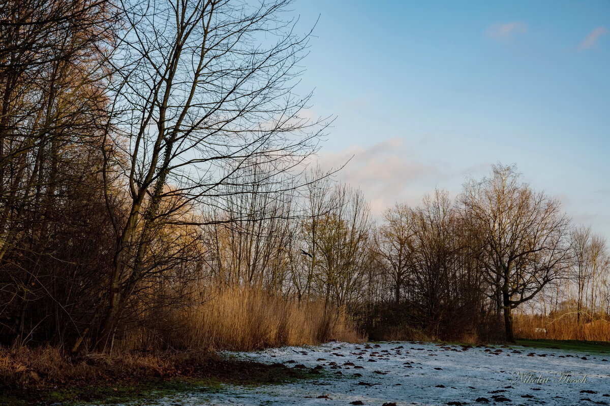 Январское... - Николай Гирш