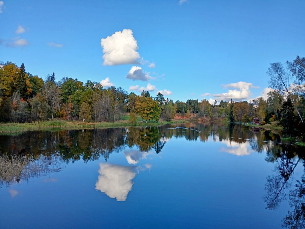 Облачка словно белые комочки. - Лия ☼