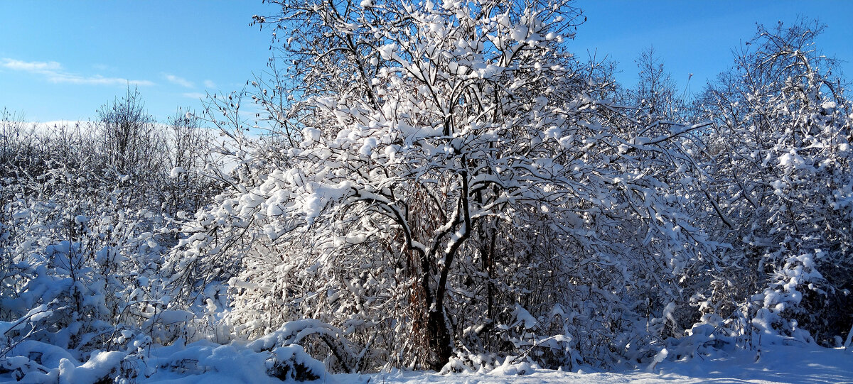 Прекрасный день!!! - Радмир Арсеньев
