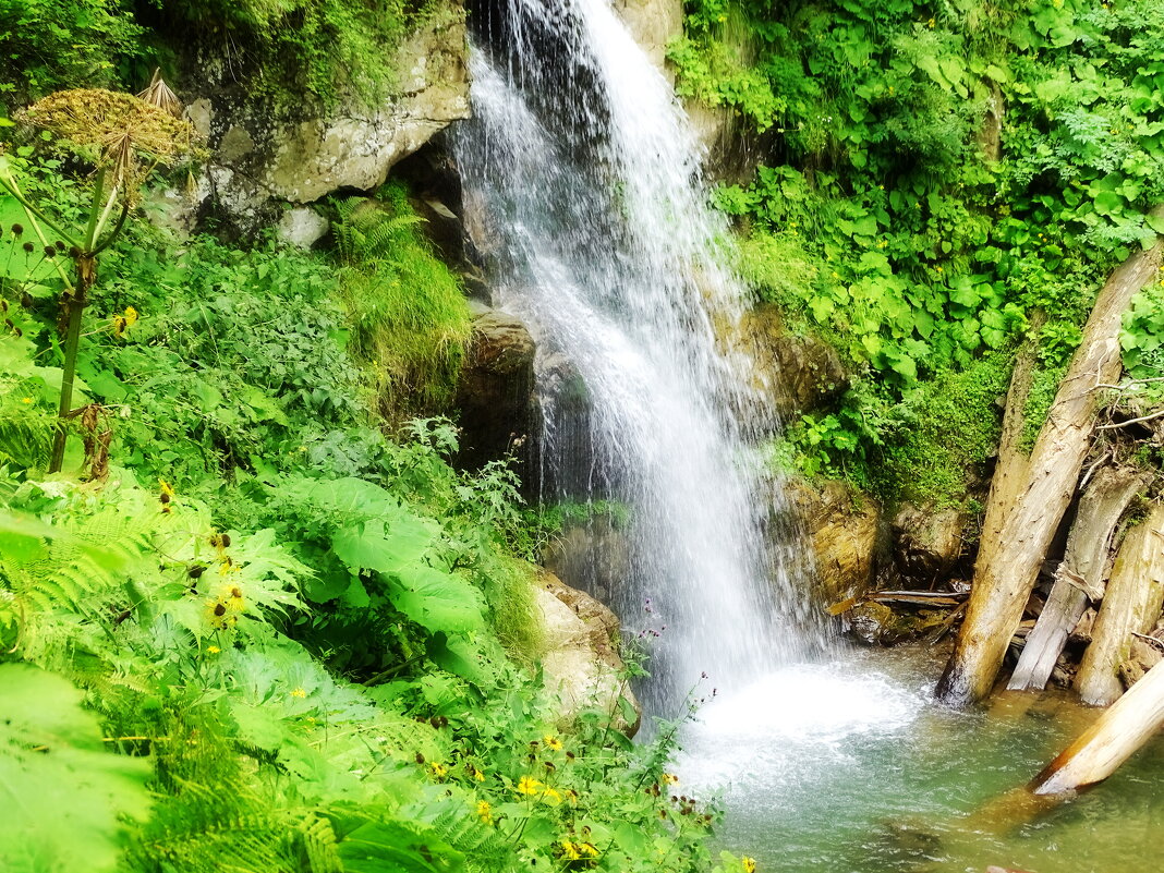 Водопадик - Павел Трунцев