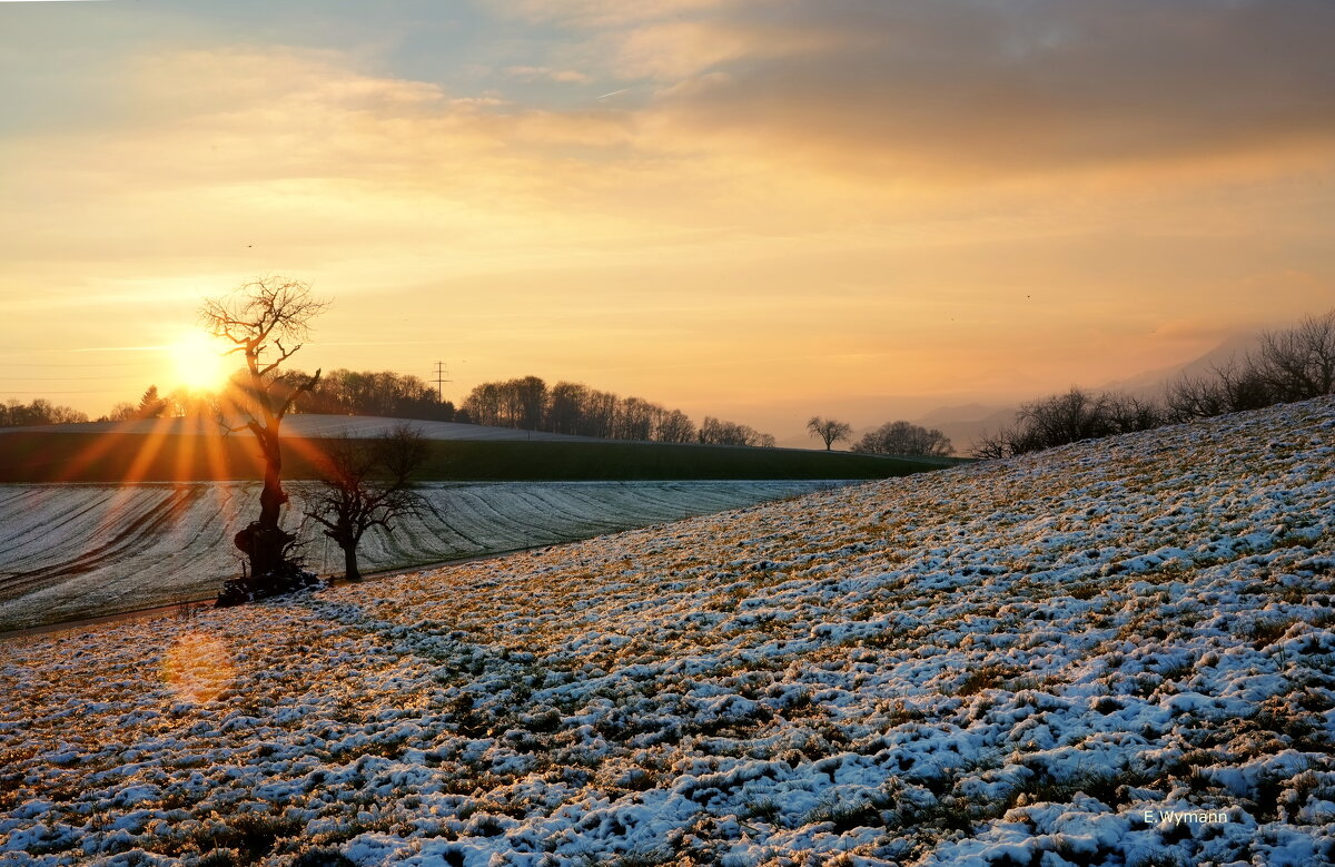 sunset - Elena Wymann