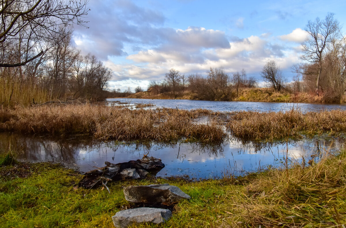 Осенним утром - Владимир Звягин Осенним утром - Владимир Звягин