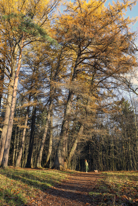 Осиновая Роща - skijumper Иванов