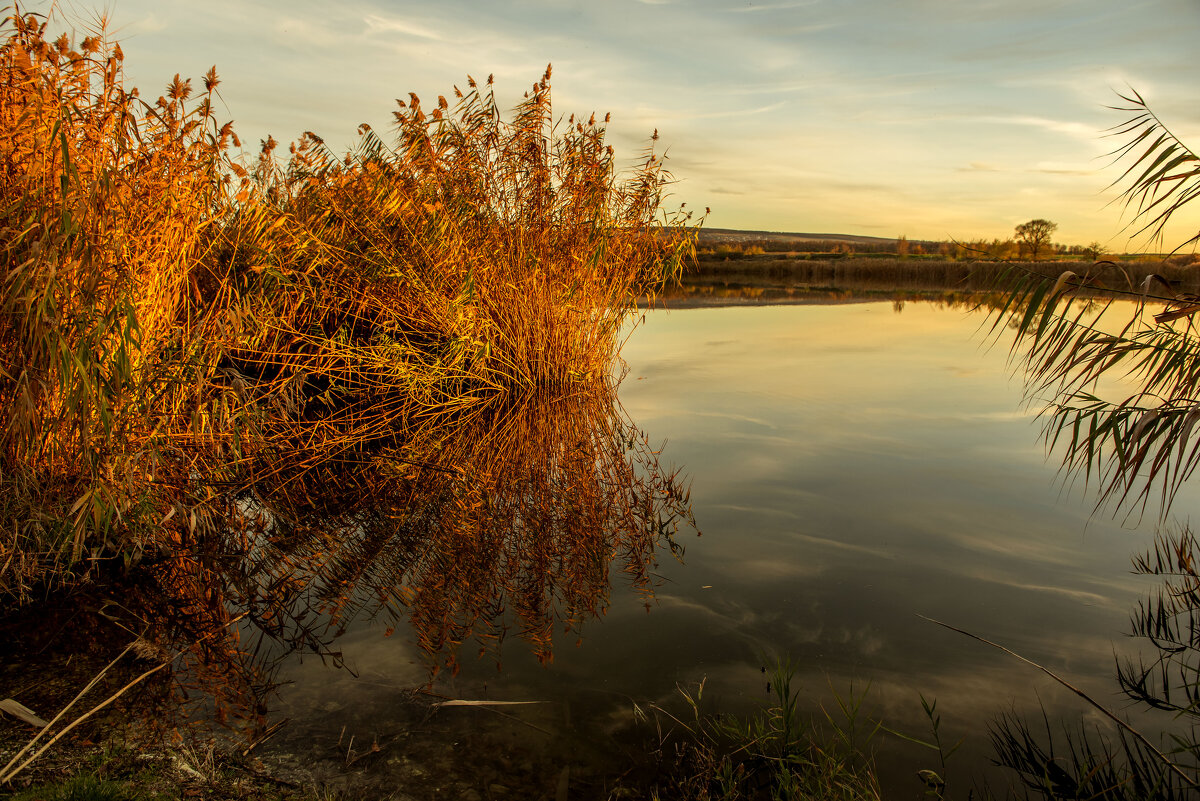***** - Сергей Воротников