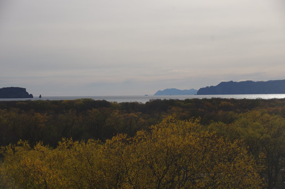 Вид на Авачинскую бухту - Сергей Швечков