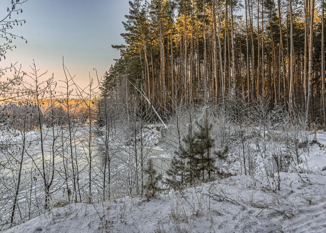 Лес, река, зима. - Александр Иванович Шитов