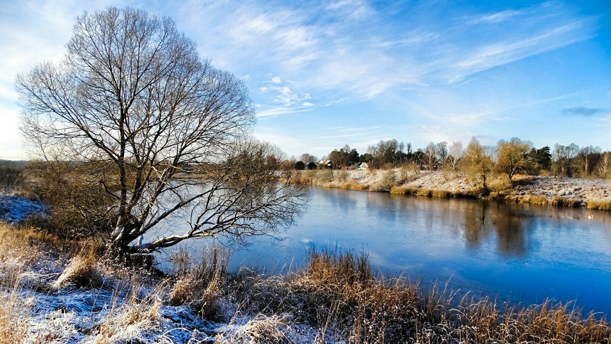 Осенний пейзаж. - Милешкин Владимир Алексеевич 