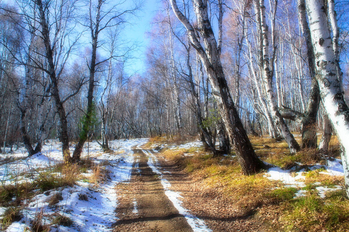 Байкальские тропинки - Евгений 