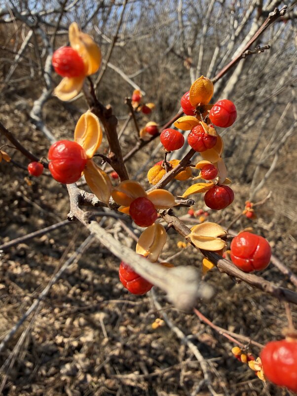 Осень - Александр Морозов