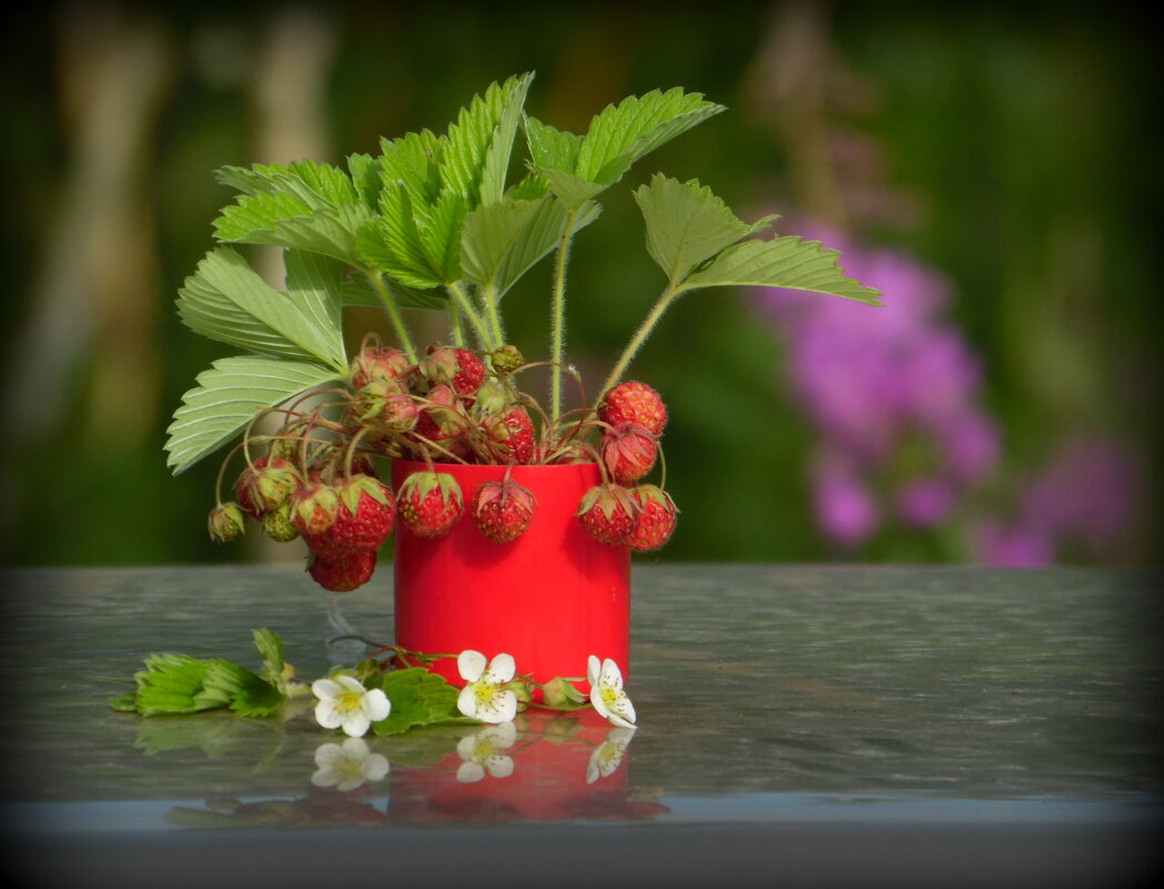 Клубничная пора. - nadyasilyuk Вознюк