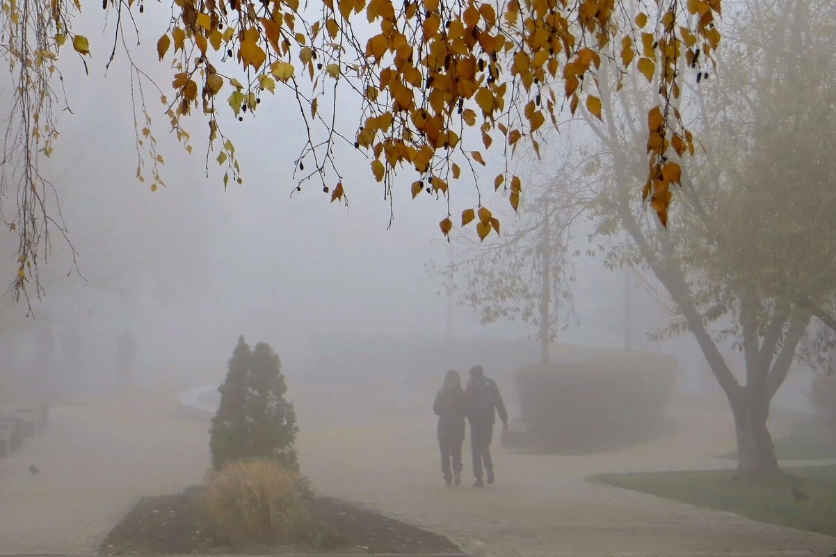 Осень спряталась в густом тумане - Татьяна Смоляниченко Осень спряталась в густом тумане - Татьяна Смоляниченко