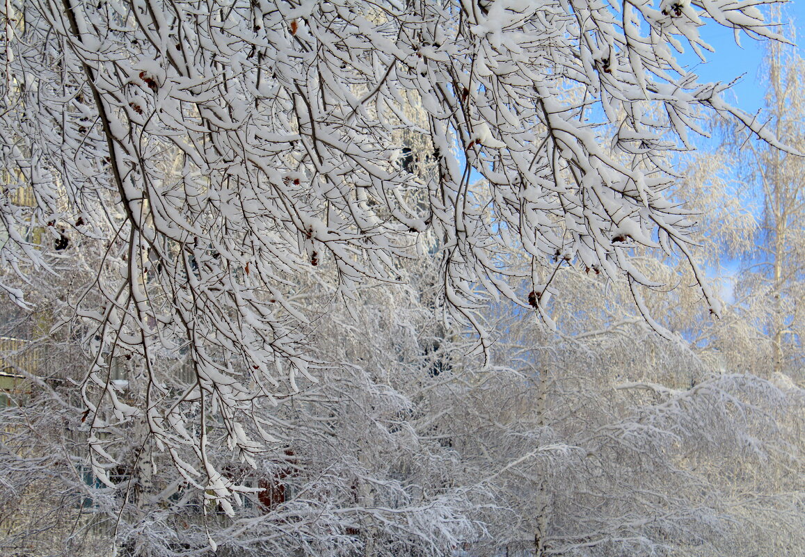 Ещё не календарная зима, но кружева повсюду - Татьяна Лютаева
