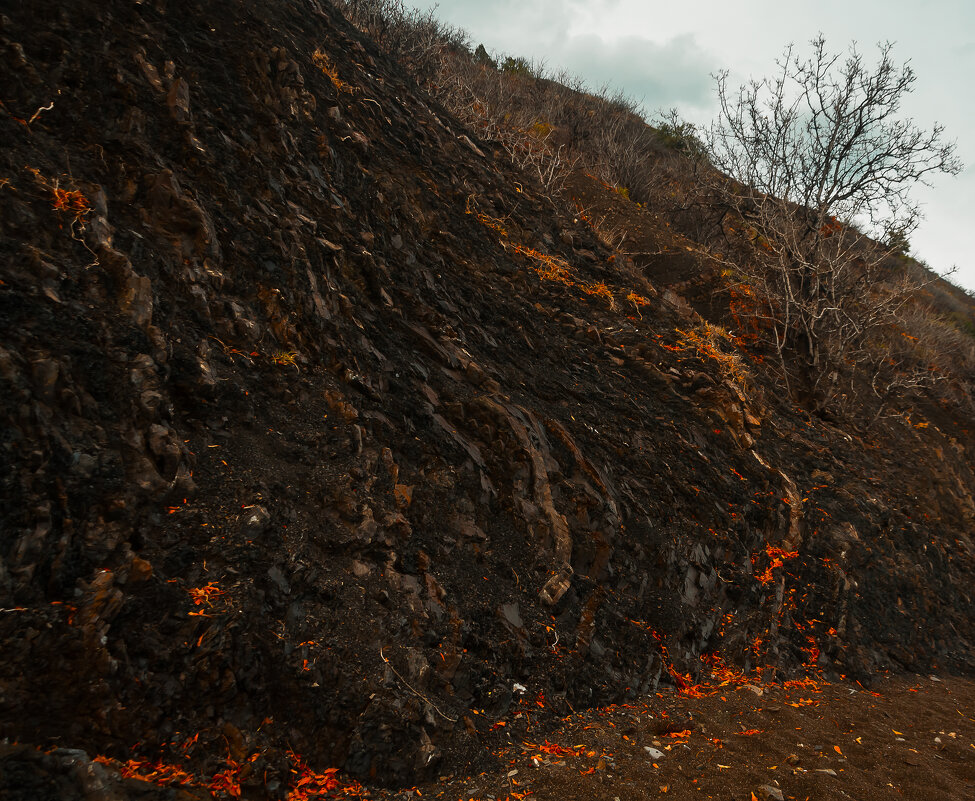 Остывшие вулканы - Олег Загорулько