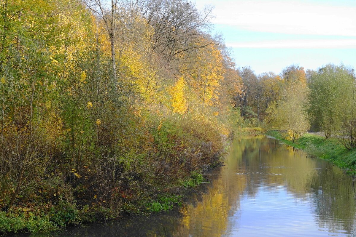 Ноябрь - Рита Симонова