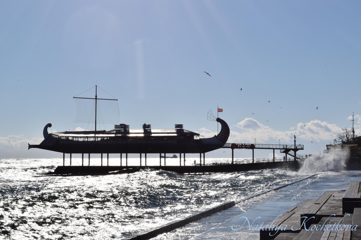 Природа Крыма - Amazing Cosmea