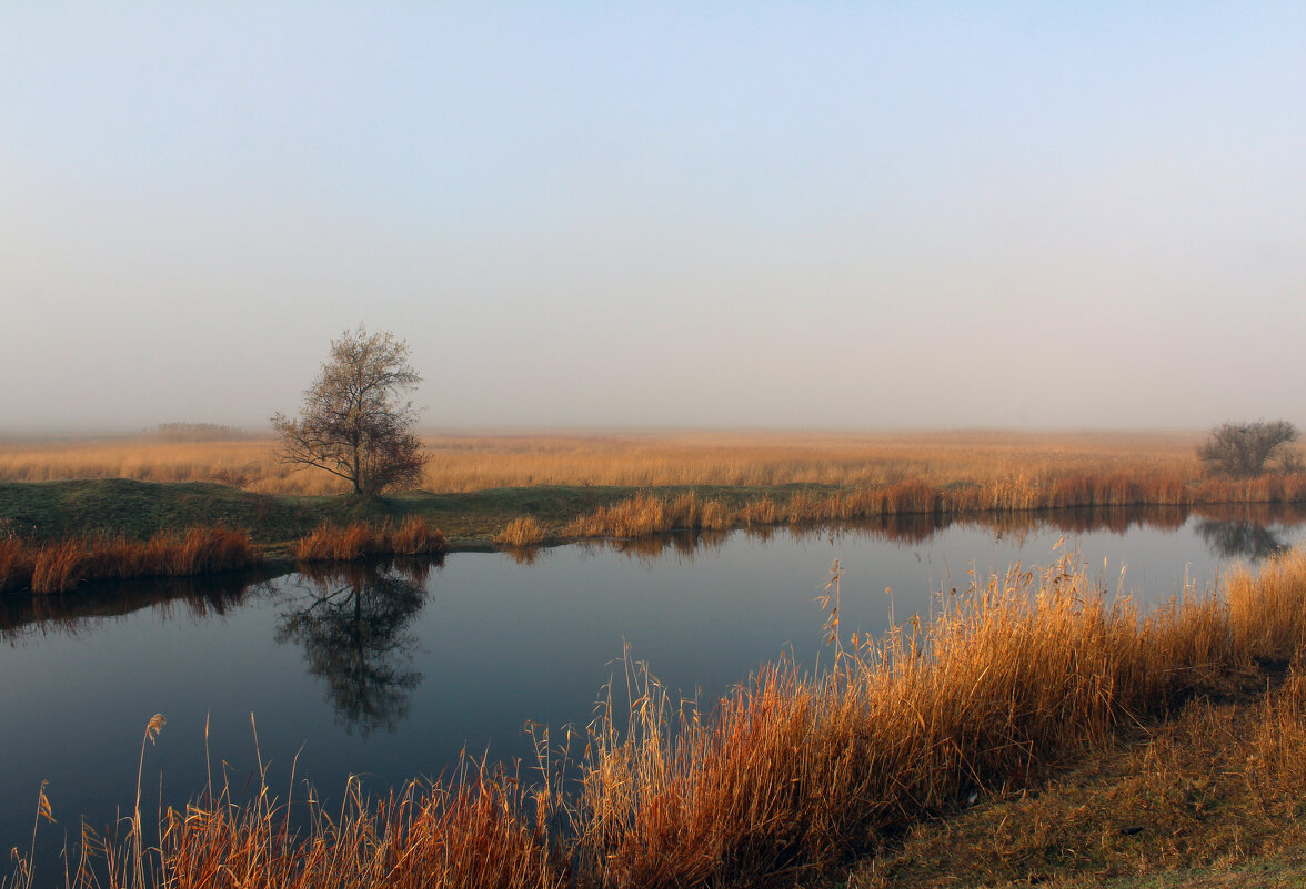 Река Кагальник. - Александр 
