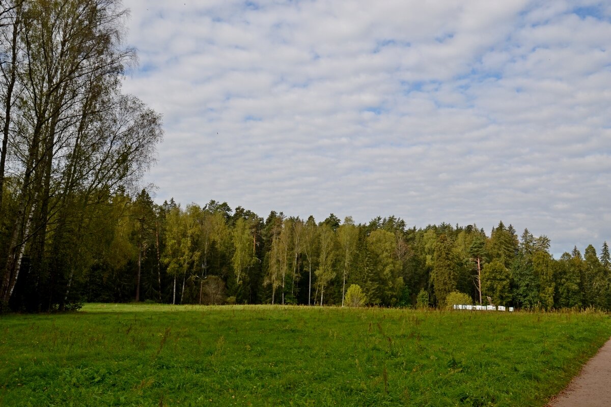 МИХАЙЛОВСКОЕ. - Виктор Осипчук