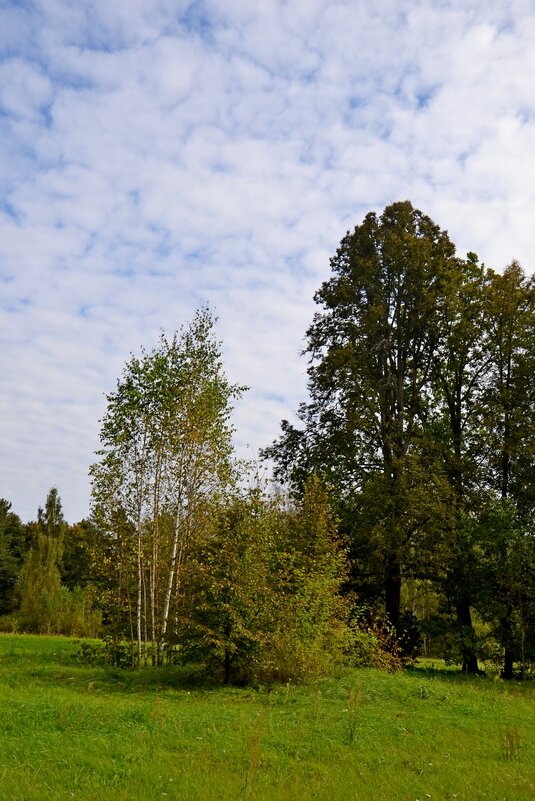 МИХАЙЛОВСКОЕ. - Виктор Осипчук