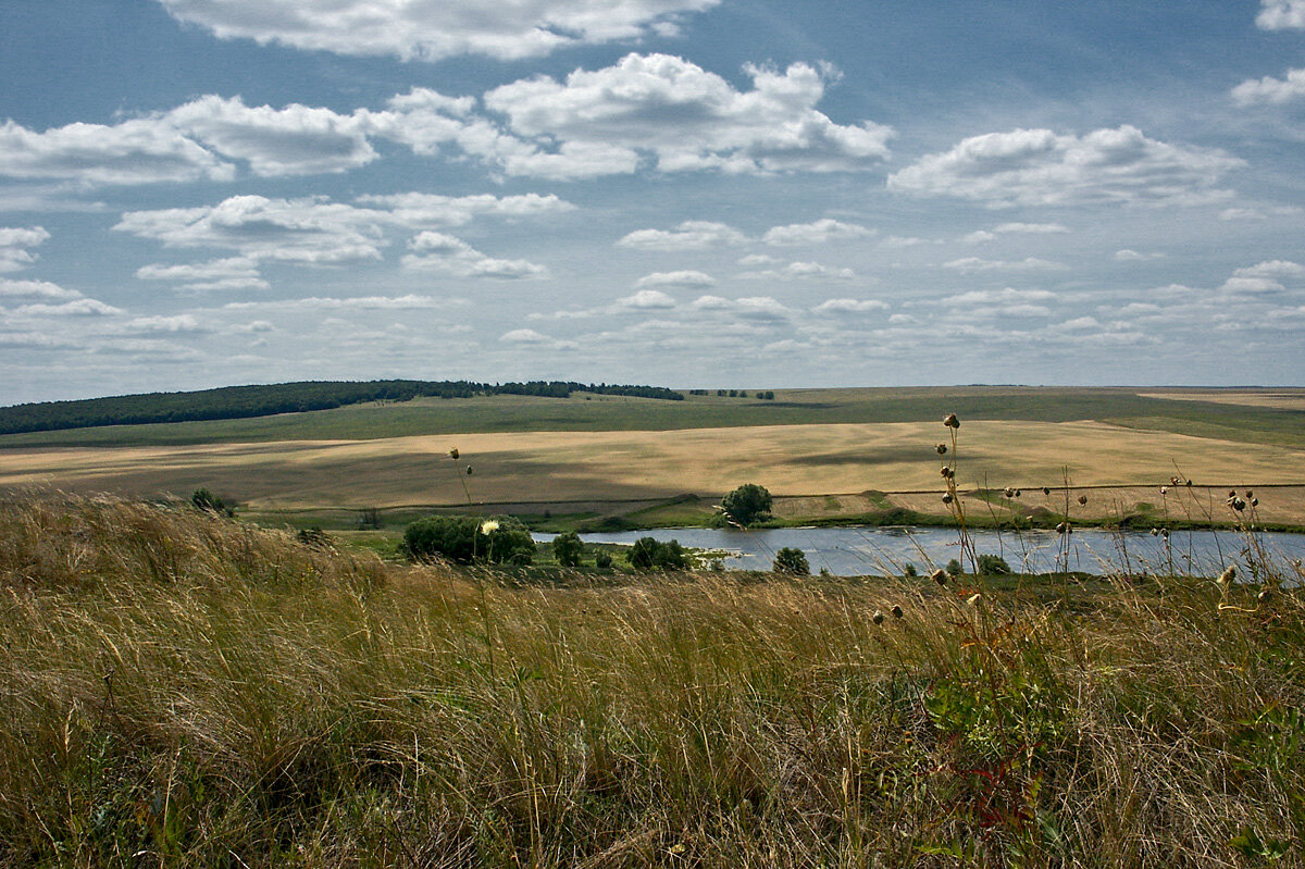 Самарские дали - MILAV V