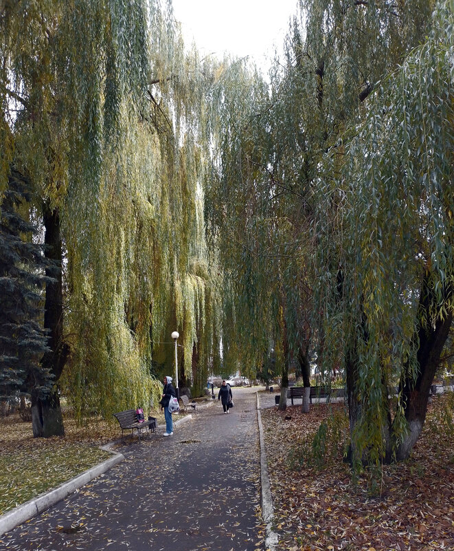 *** - Валентина Береснева