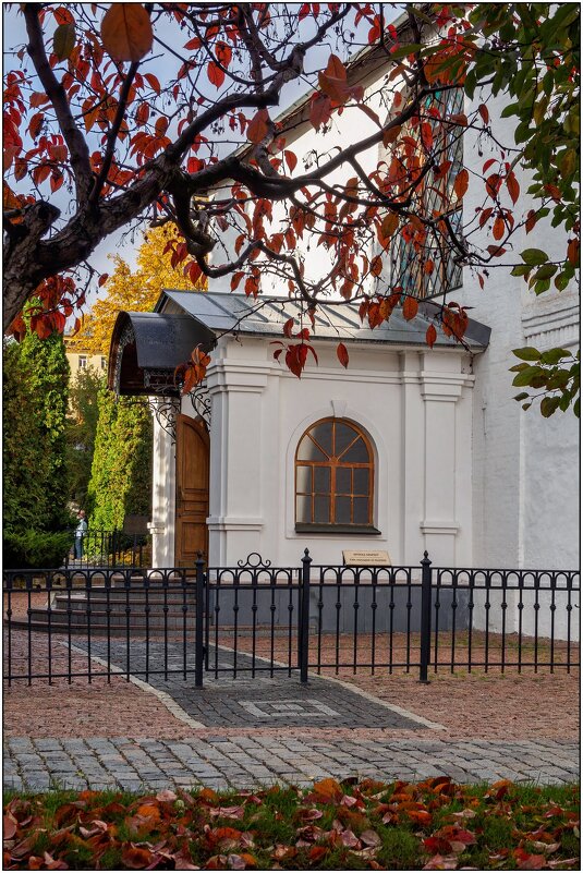 Под ветвями... - Максим Сорокин