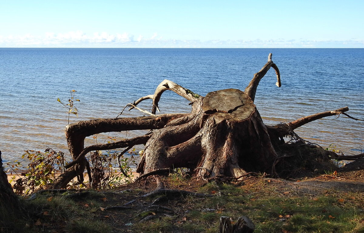 последние дни осени - ИННА ПОРОХОВА последние дни осени - ИННА ПОРОХОВА