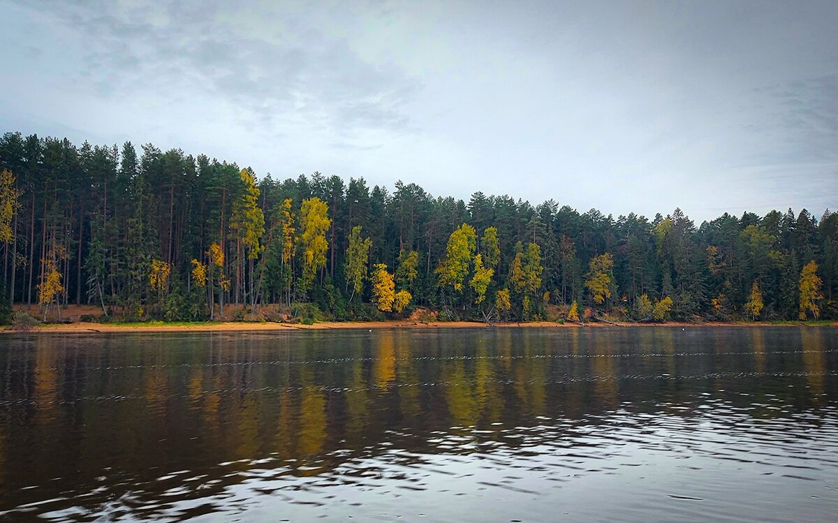 Осень на реке Себла - Николай Дергачев