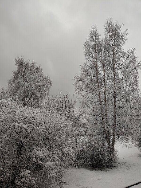 Снег - Андрей 