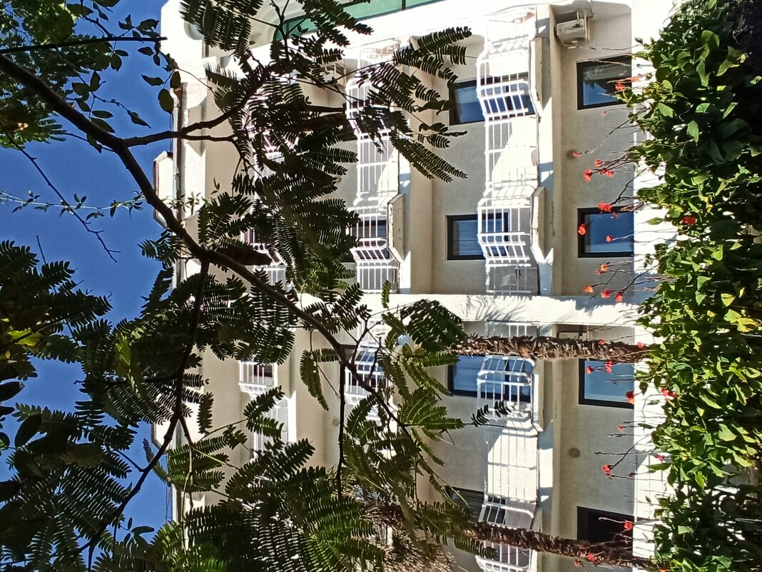 Санаторий Утес. Крым. - Галина 