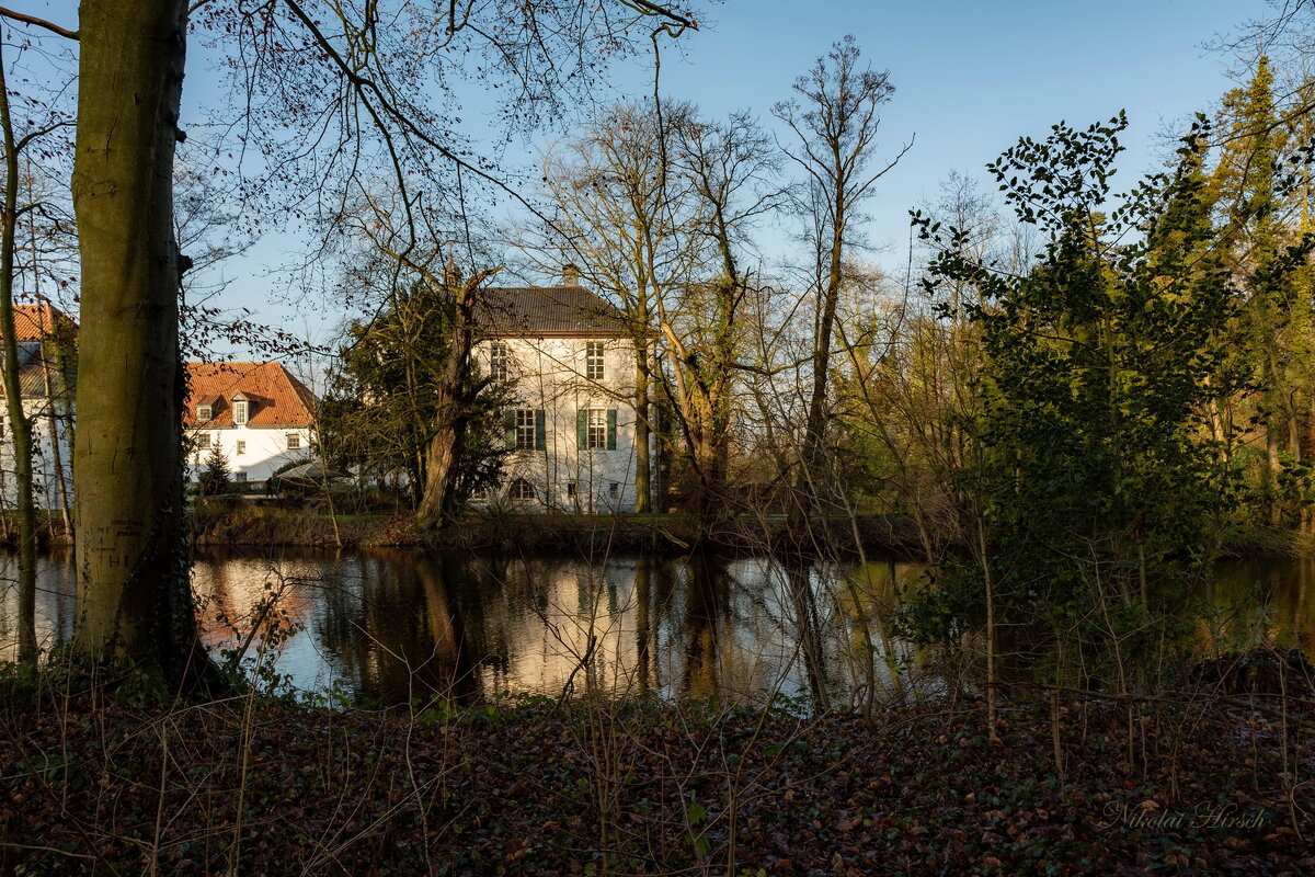 *** - Николай Гирш