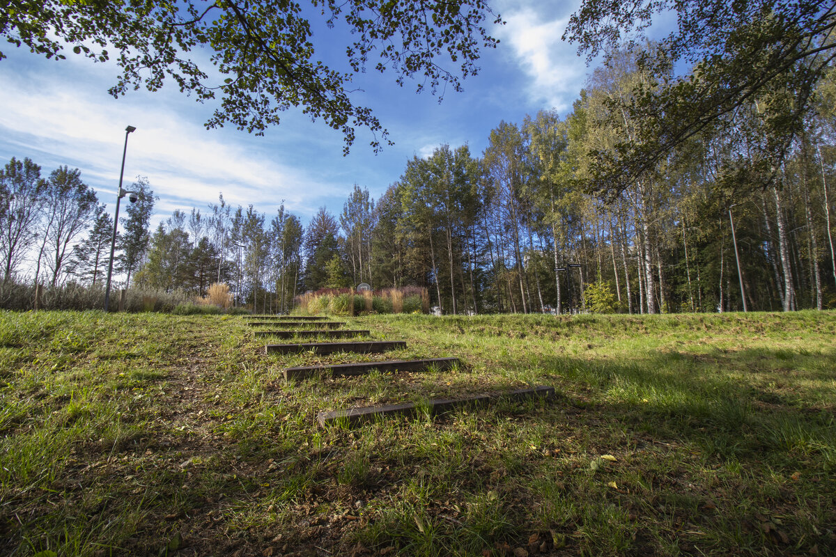 б.н. - Николай 