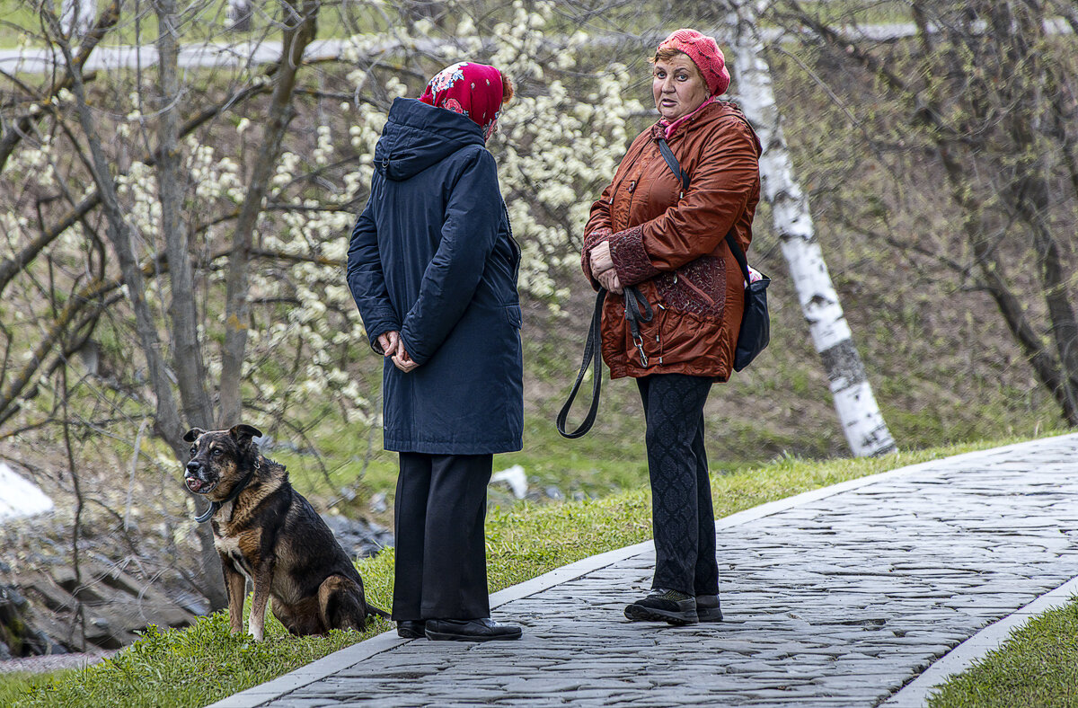 Люди в городе - Aleksey Afonin