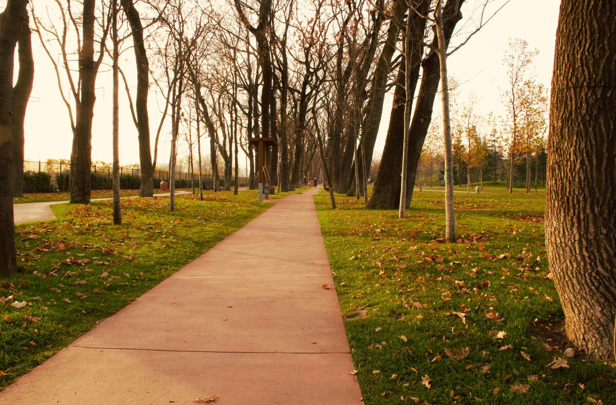 Дубовая алея. - Юрий Полторыхин.