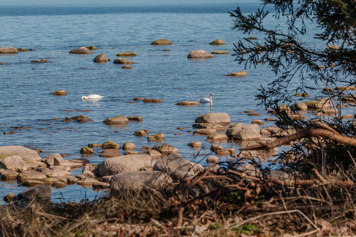 *** - Геннадий Порохов