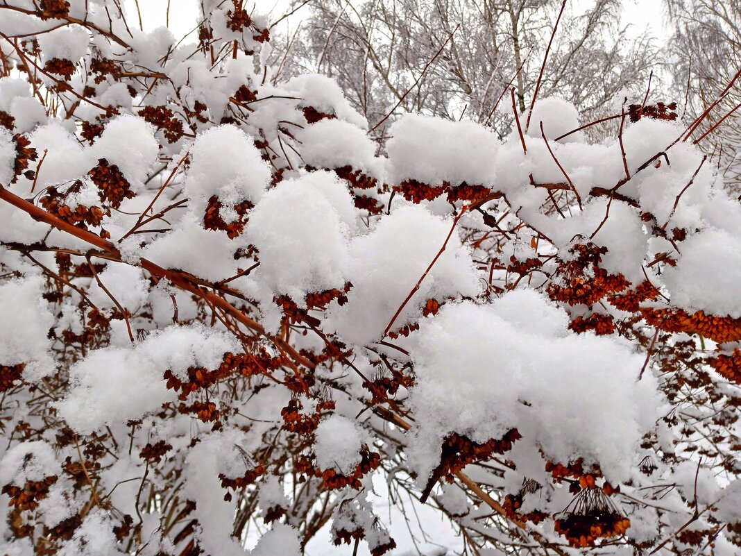 Безветрие, 0 градусов, хорошо ! - Лия ☼