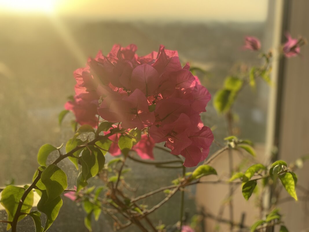 Рассвет - Alexey YakovLev