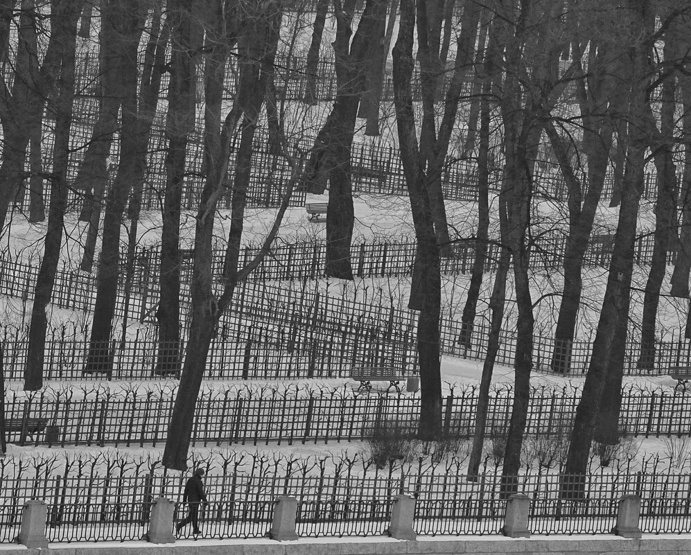 Спб - Виктория Поликарпова