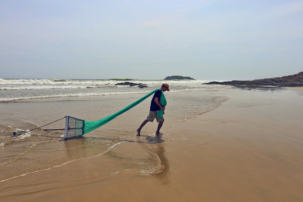 Чьи на пляже ракушки? - Людмила Гулина Чьи на пляже ракушки? - Людмила Гулина
